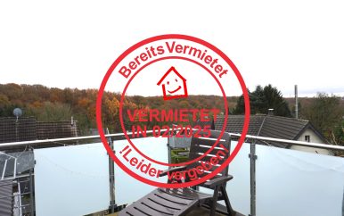 Dachterrasse mit Weitblick
